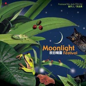 吴金黛《场景三 星夜》歌词