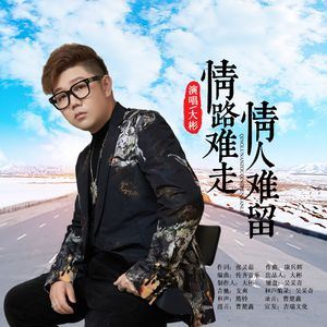 大彬《情路难走情人难留》歌词歌曲LRC下载