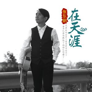 张东朗《在天涯》歌词歌曲LRC下载