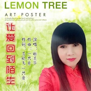 杨美华《让爱回到陌生》歌词歌曲LRC下载