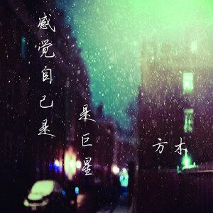 方木《清平愿》歌词歌曲LRC下载