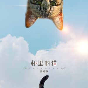 任舒瞳《怀里的猫（萌喵版）》歌词